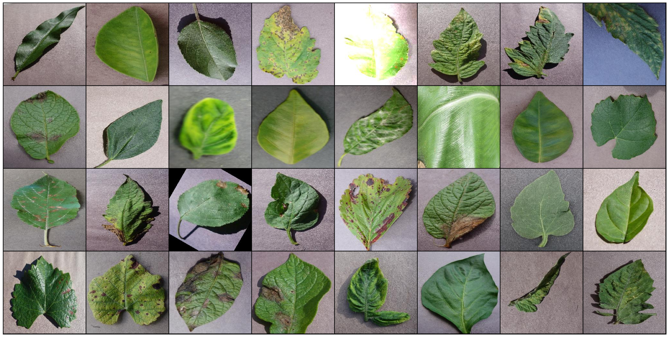 Diseased Plant Detection