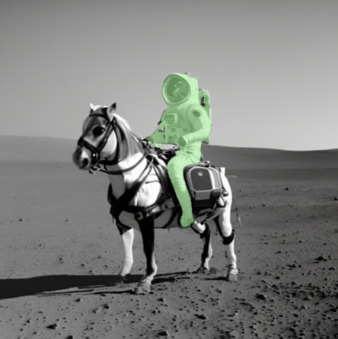 Prompt to Perception